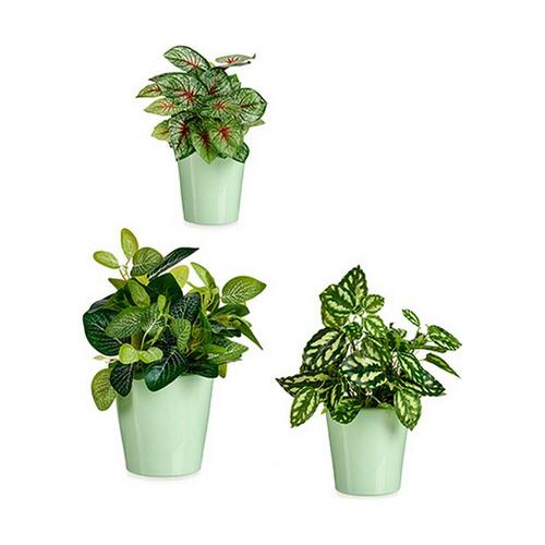 plantekrukker Grøn Ler (6 enheder)