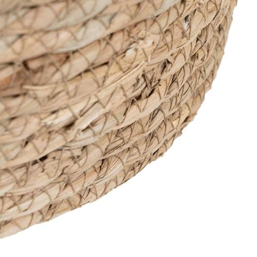 Set med kurve 42 x 42 x 48 cm Mint Naturlig fiber (3 Dele)