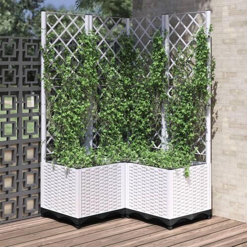 Plantekasse med espalier 80x80x136 cm PP hvid
