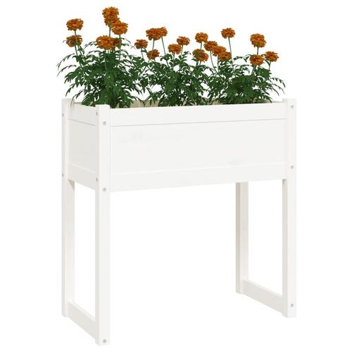 Plantekasse 78x40x81 cm massivt fyrretræ hvid