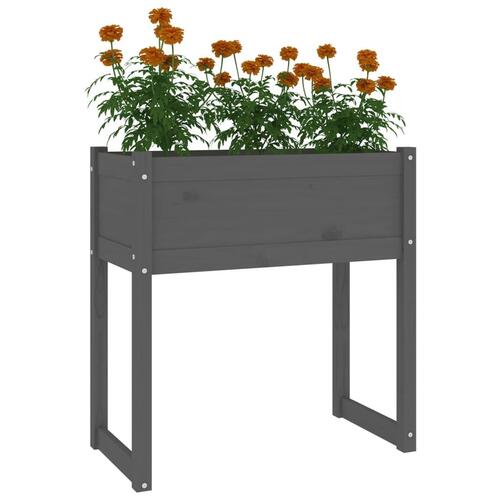 Plantekasse 78x40x81 cm massivt fyrretræ grå