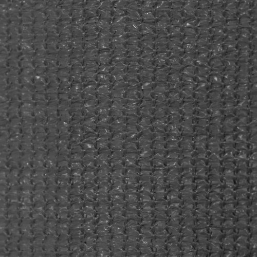 Udendørs rullegardin 405 × 230 cm - antracitgrå HDPE