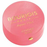 Rouge Little Round Bourjois 095 - rose de jaspe