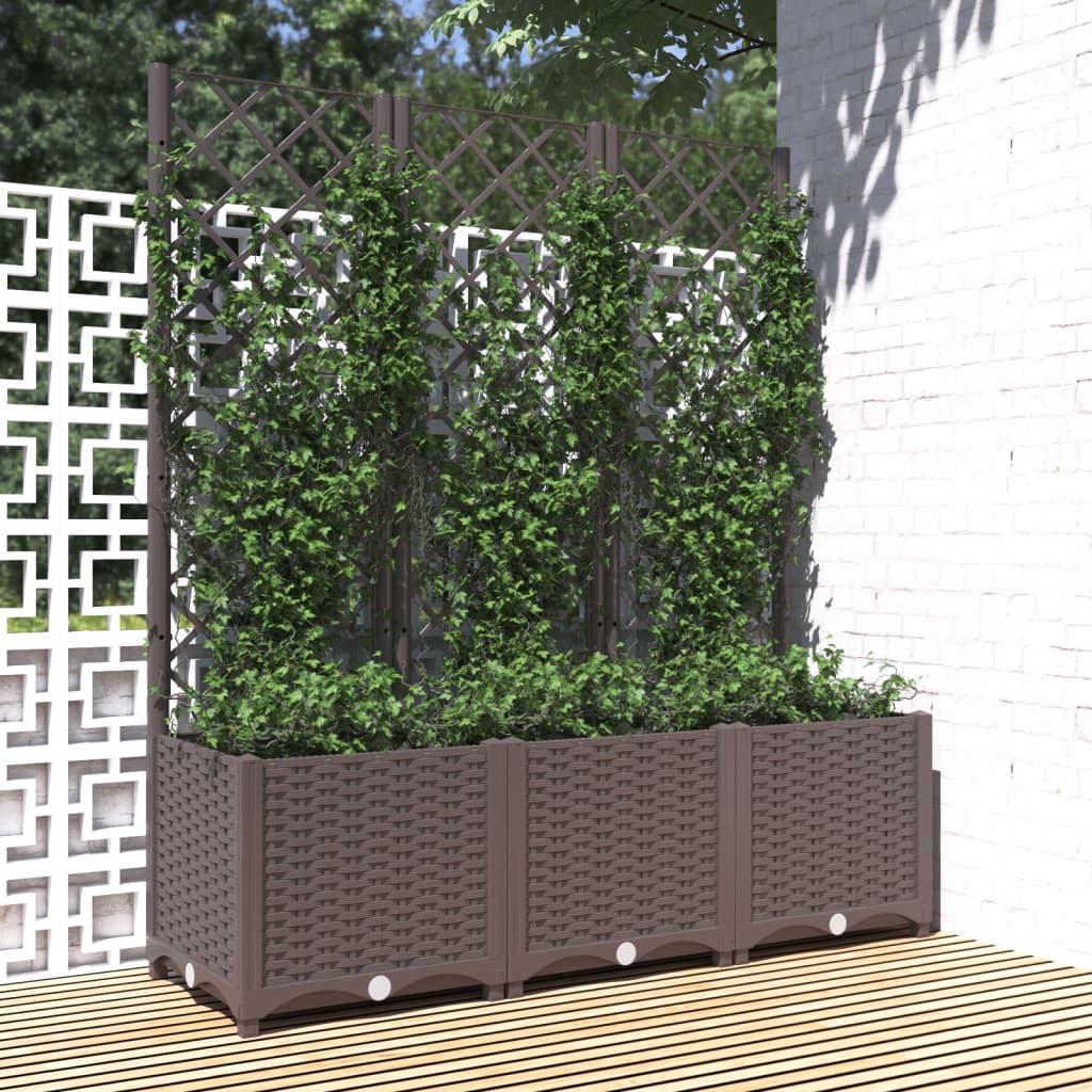 Plantekasse med espalier 120x40x136 cm PP brun