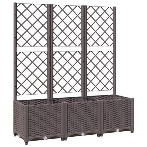 Plantekasse med espalier 120x40x136 cm PP brun