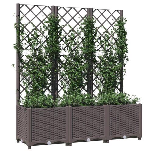 Plantekasse med espalier 120x40x136 cm PP brun