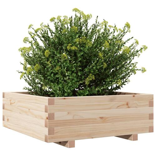 Plantekasse 70x70x26,5 cm massivt fyrretræ