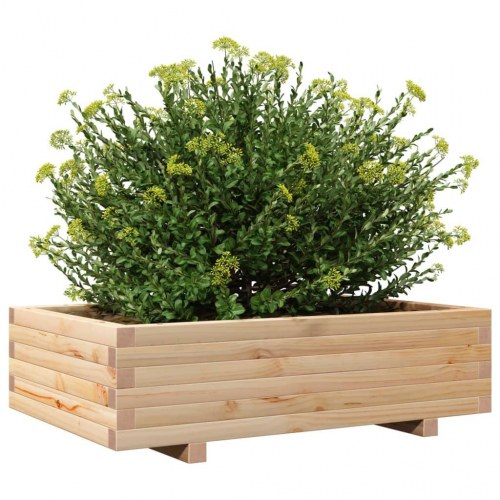 Plantekasse i massivt fyrretræ - 90 x 60 x 26,5 cm
