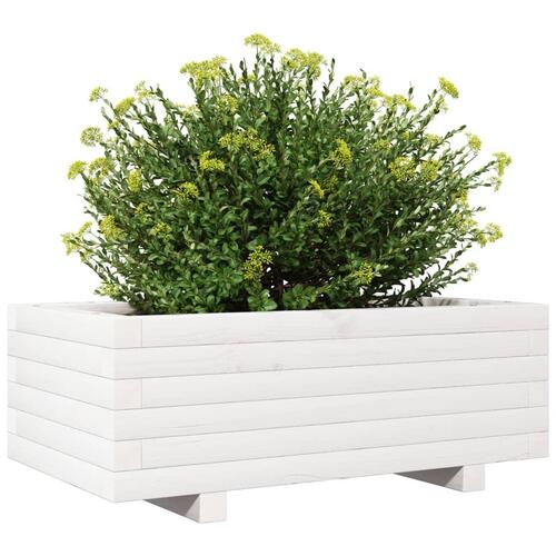 Plantekasse 70x40x26,5 cm massivt fyrretræ hvid