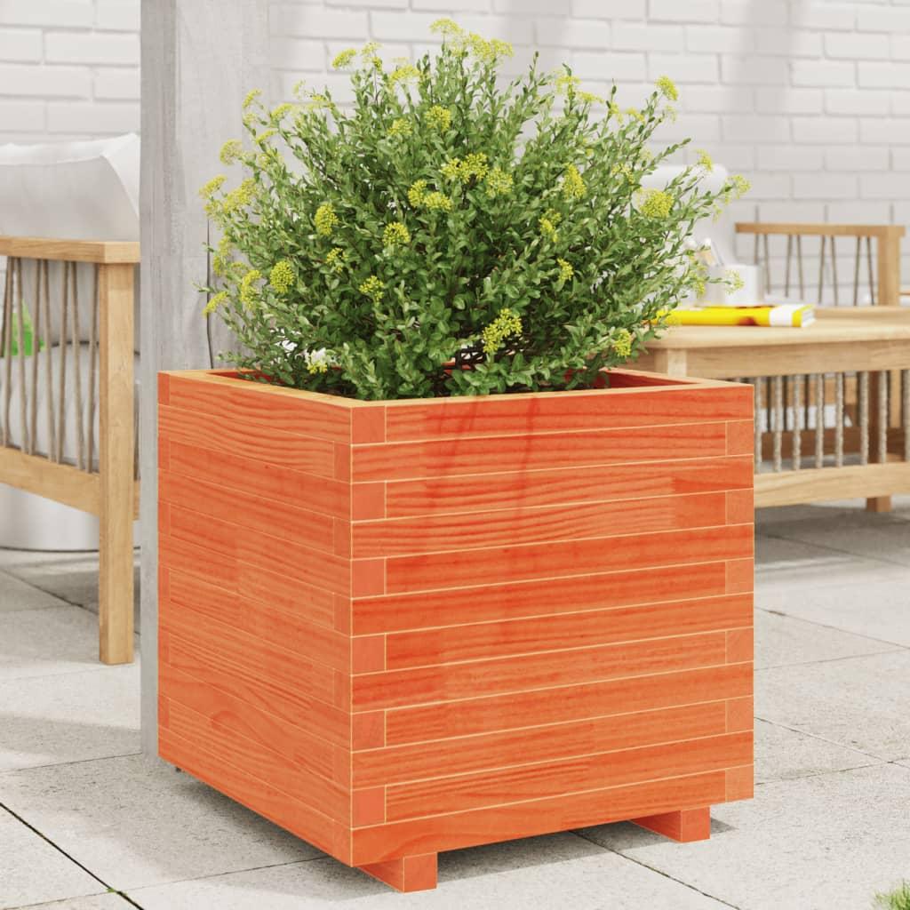 Plantekasse 50x50x49,5 cm massivt fyrretræ gyldenbrun billede
