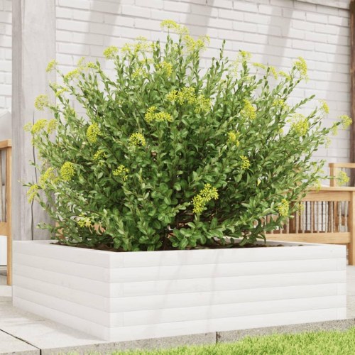 Plantekasse i massivt fyrretræ 80 x 80 x 23 cm - hvid