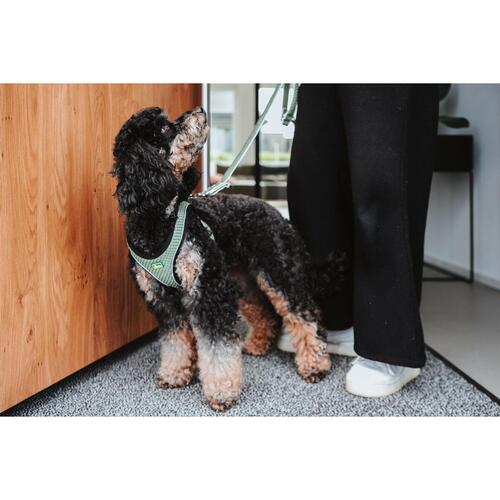 Hundesele Hunter Comfort Grøn 30-35 cm