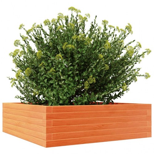 Plantekasse 80 x 80 x 23 cm i massivt fyrretræ - gyldenbrun