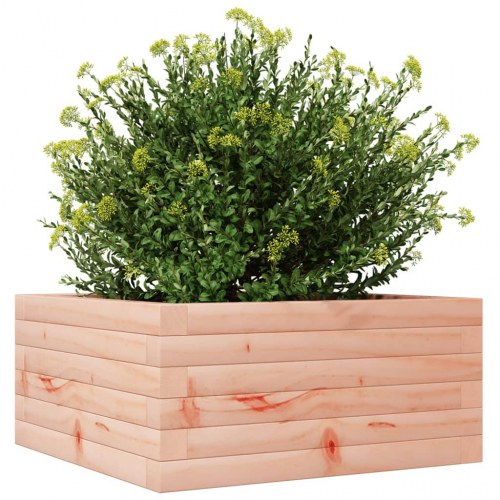 Plantekasse 50x50x23 cm massivt douglasgran