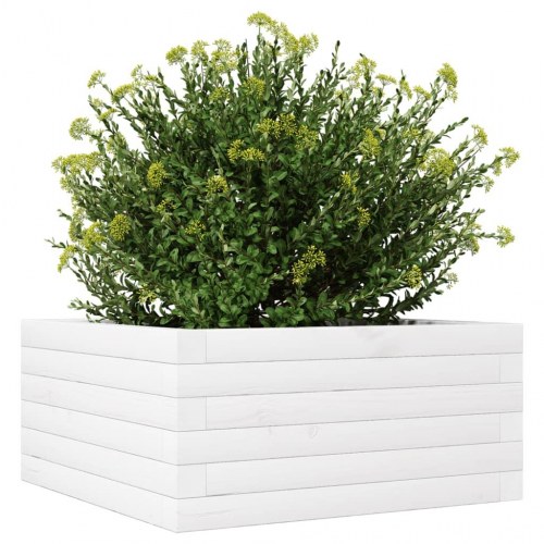 Plantekasse i massivt fyrretræ 50 x 50 x 23 cm - hvid