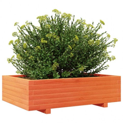 Plantekasse 90 x 60 x 26,5 cm i massivt fyrretræ - gyldenbrun