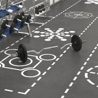 Vægtstang med skiver 30 kg støbejern og forkromet stål