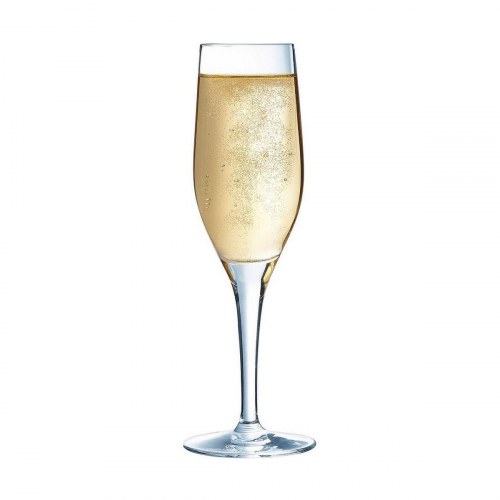 C&S Champagneglas - gennemsigtigt glas, 19 cl (6 stk.)