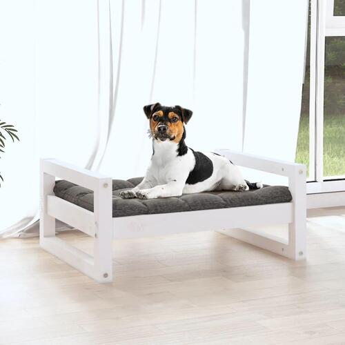 Hundeseng 55,5x45,5x28 cm massivt fyrretræ hvid