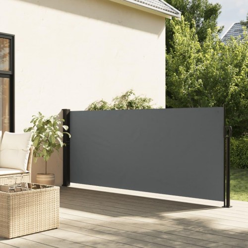 Udtrækkelig sidemarkise - antracit 100 × 300 cm