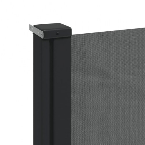 Udtrækkelig sidemarkise - antracit 100 × 300 cm