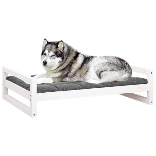 Hundeseng 105,5x75,5x28 cm massivt fyrretræ hvid