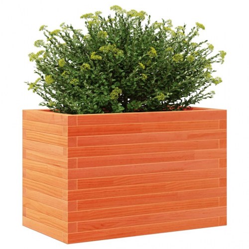 Plantekasse i massivt fyrretræ 70 x 40 x 46 cm - gyldenbrun