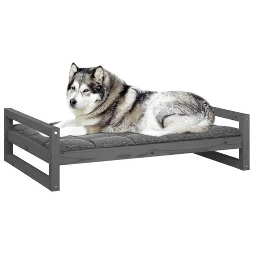 Hundeseng 105,5x75,5x28 cm massivt fyrretræ grå