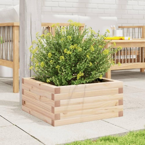 Plantekasse i massivt fyrretræ 50×50×23 cm - firkantet blomsterkasse