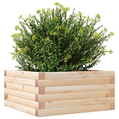 Plantekasse i massivt fyrretræ 50×50×23 cm - firkantet blomsterkasse