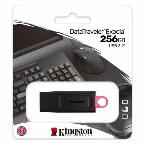 USB-nøgle Kingston DataTraveler Exodia DTX 256 GB - Sort