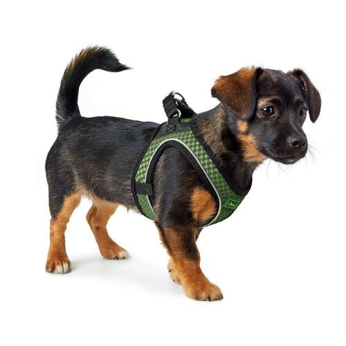 Hundesele Hunter Comfort Grøn XS 35-37 cm