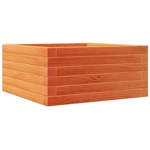 Plantekasse i massivt fyrretræ 50 x 50 x 23 cm - gyldenbrun