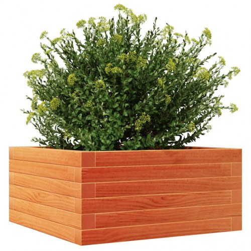 Plantekasse i massivt fyrretræ 50 x 50 x 23 cm - gyldenbrun