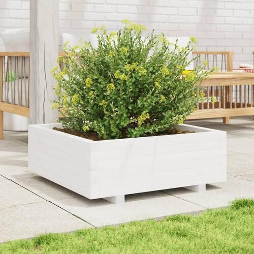 Plantekasse 70x70x26,5 cm massivt fyrretræ hvid