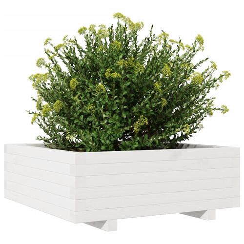 Plantekasse 70x70x26,5 cm massivt fyrretræ hvid