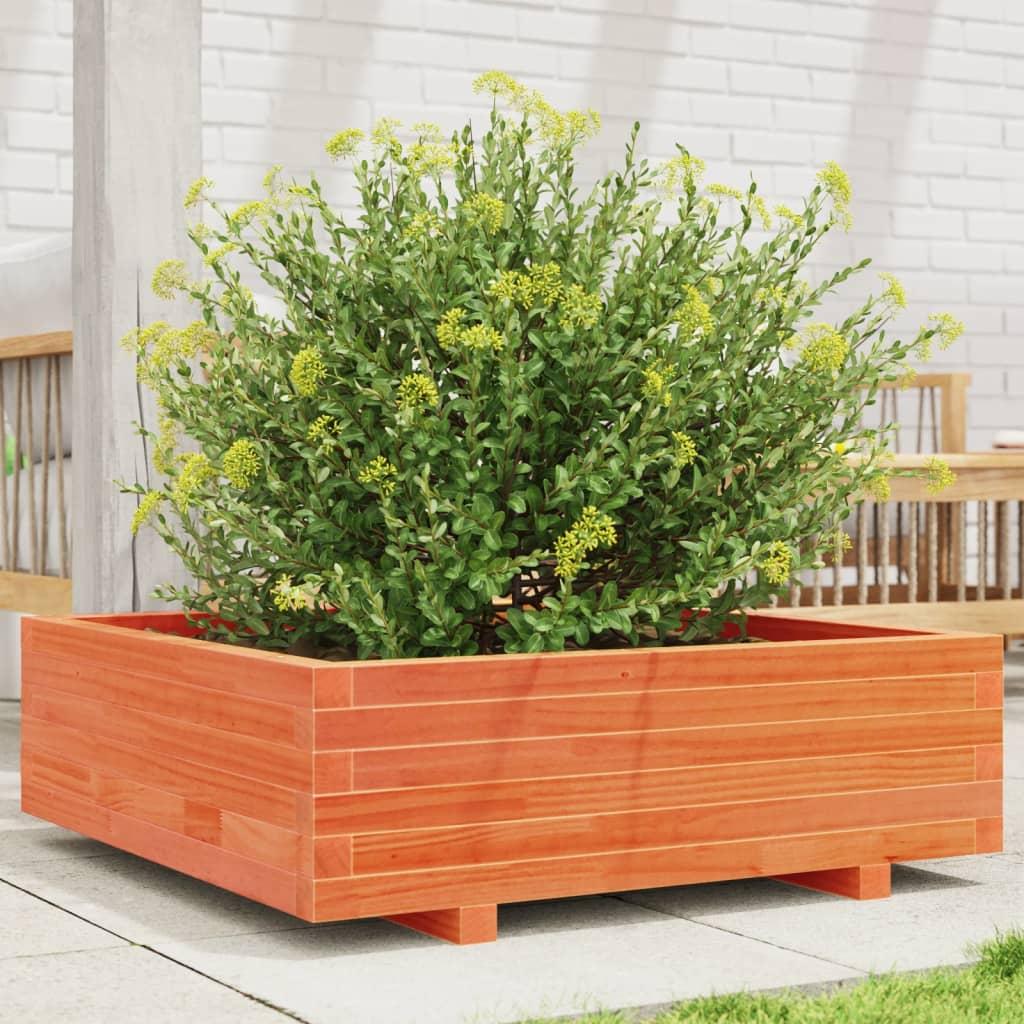 Plantekasse 80x80x26,5 cm massivt fyrretræ gyldenbrun