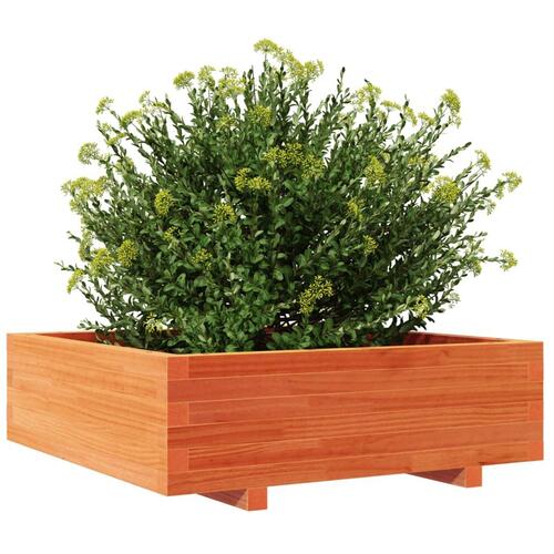 Plantekasse 80x80x26,5 cm massivt fyrretræ gyldenbrun