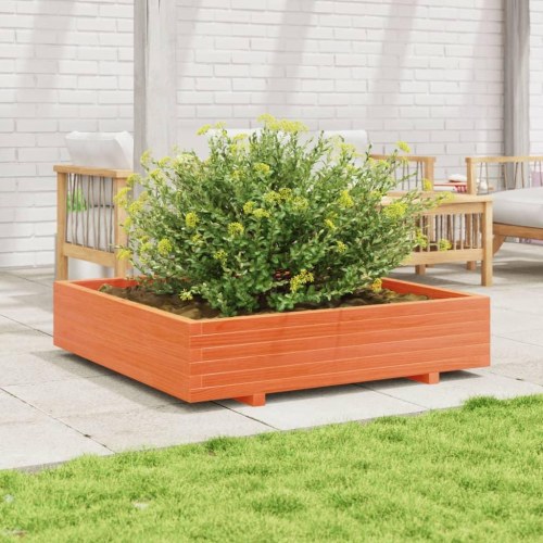Plantekasse i massivt fyrretræ 110 x 110 x 26,5 cm - gyldenbrun
