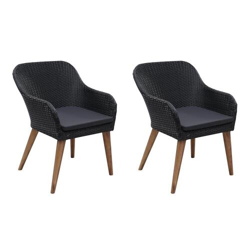 Havestole med hynder 2 stk. polyrattan sort