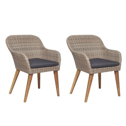 Havestole med hynder 2 stk. polyrattan brun