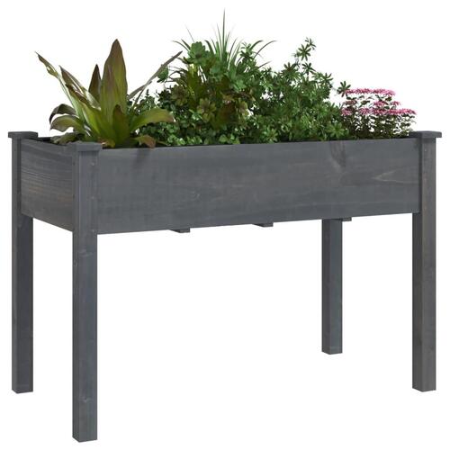 Plantekasse med foring 118x59x76 cm massivt fyrretræ grå