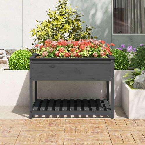 Plantekasse med hylde 111,5x111,5x81 cm massivt fyrretræ grå