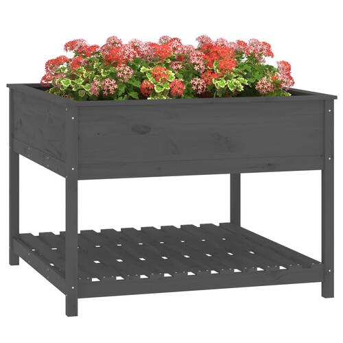 Plantekasse med hylde 111,5x111,5x81 cm massivt fyrretræ grå