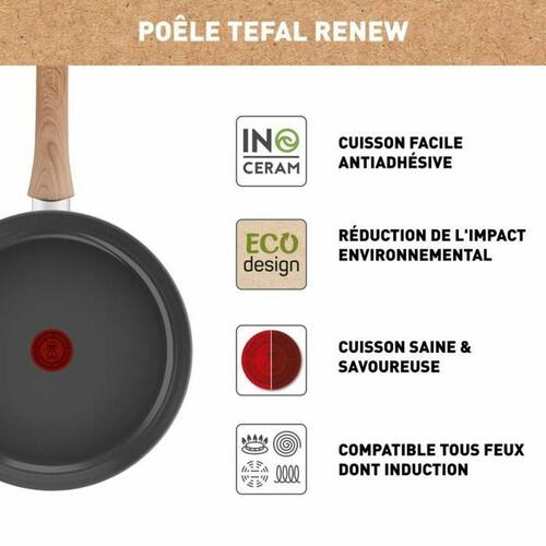 Stegepande Tefal Ø 24 cm