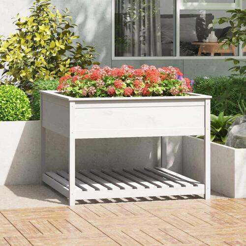 Plantekasse med hylde 111,5x111,5x81 cm massivt fyrretræ hvid