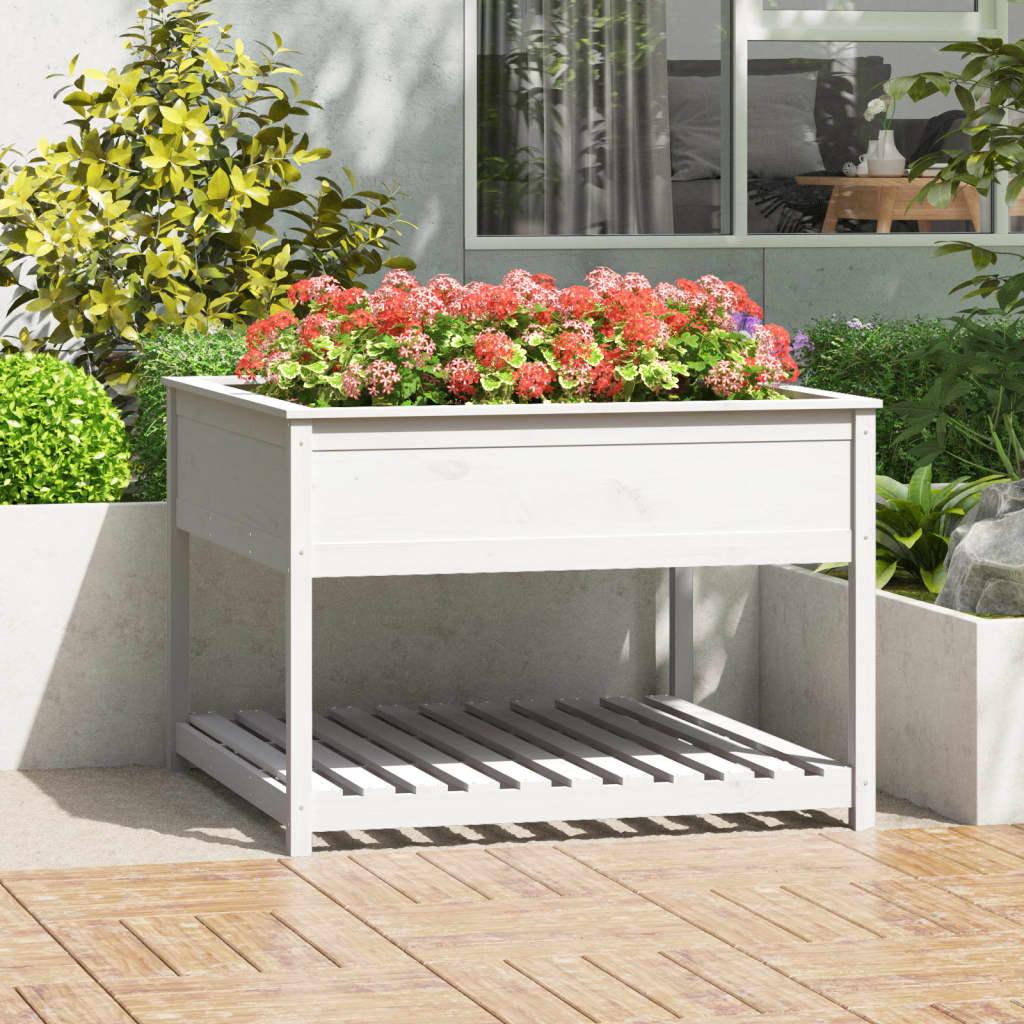 Plantekasse med hylde 111,5x111,5x81 cm massivt fyrretræ hvid