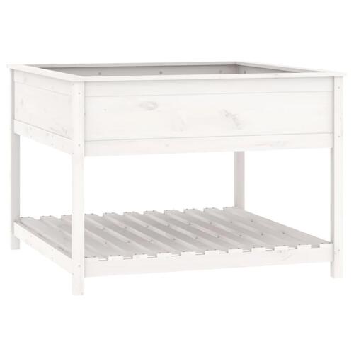 Plantekasse med hylde 111,5x111,5x81 cm massivt fyrretræ hvid