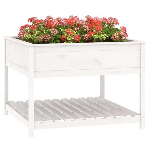 Plantekasse med hylde 111,5x111,5x81 cm massivt fyrretræ hvid
