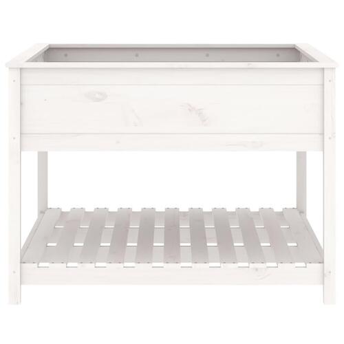 Plantekasse med hylde 111,5x111,5x81 cm massivt fyrretræ hvid
